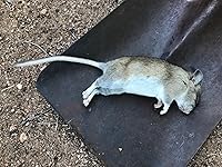 Review Image by Jessica Jessica