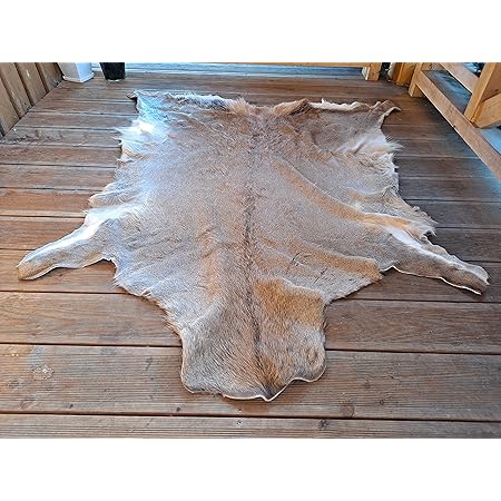 Amazon.com: Large Red Deer Skin Hide Natural Real Area Rug : Home & Kitchen