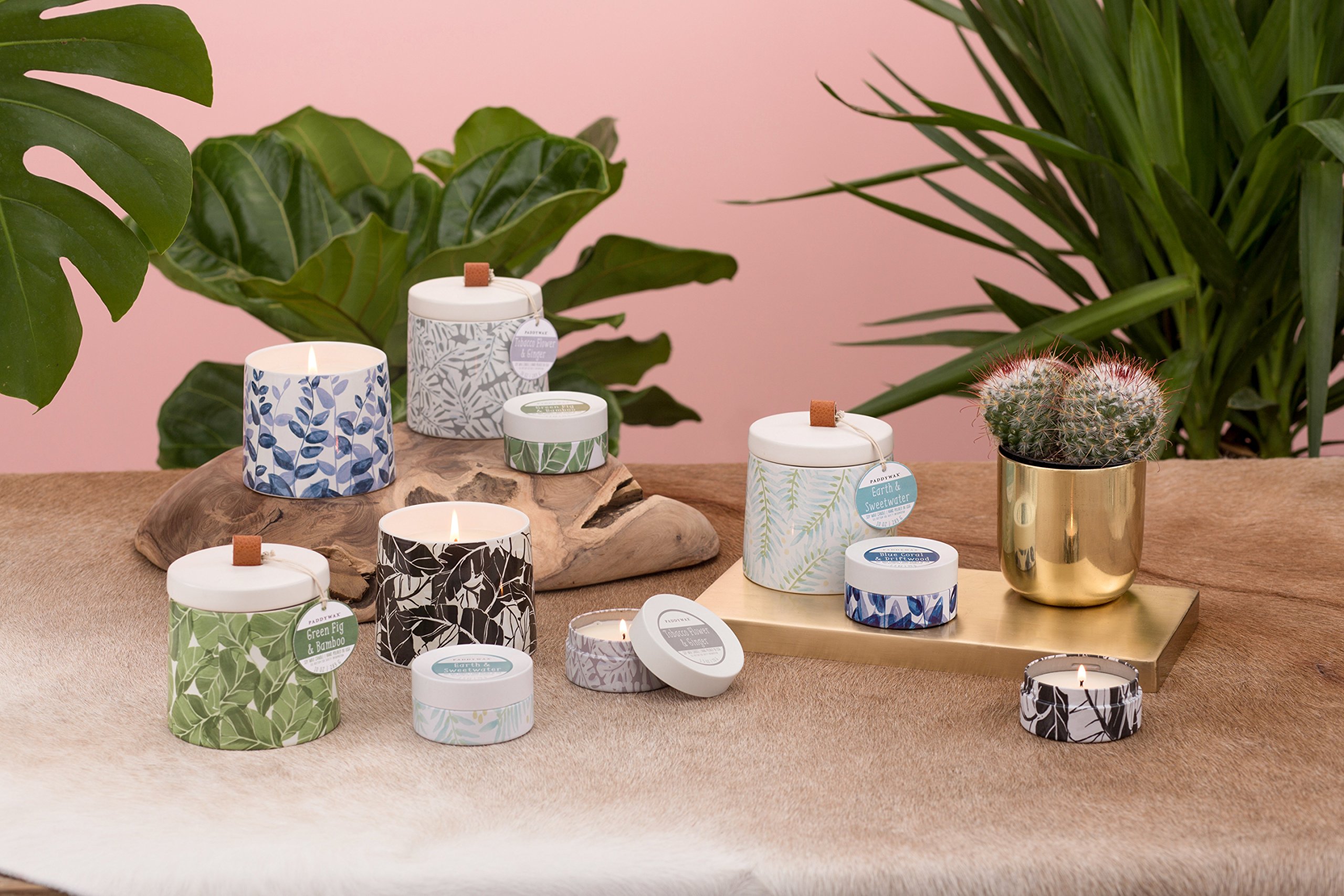 Paddywax Botany Collection Scented Soy Wax Candle, 10-Ounce, Tobacco Flower  & Ginger: Candles: Amazon.com.au