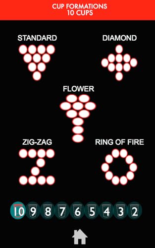 Beer Pong Rules and Regulations 2