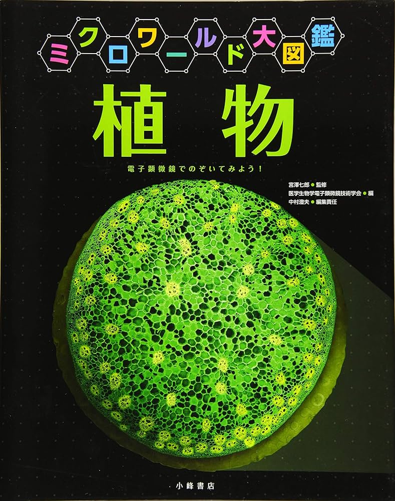 植物 (ミクロワールド大図鑑) | 医学生物学電子顕微鏡技術学会