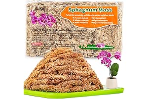 Sukh Sphagnum Peat Moss for Reptiles - Premium Chile Dried Long Fibered Moss Potting Mix