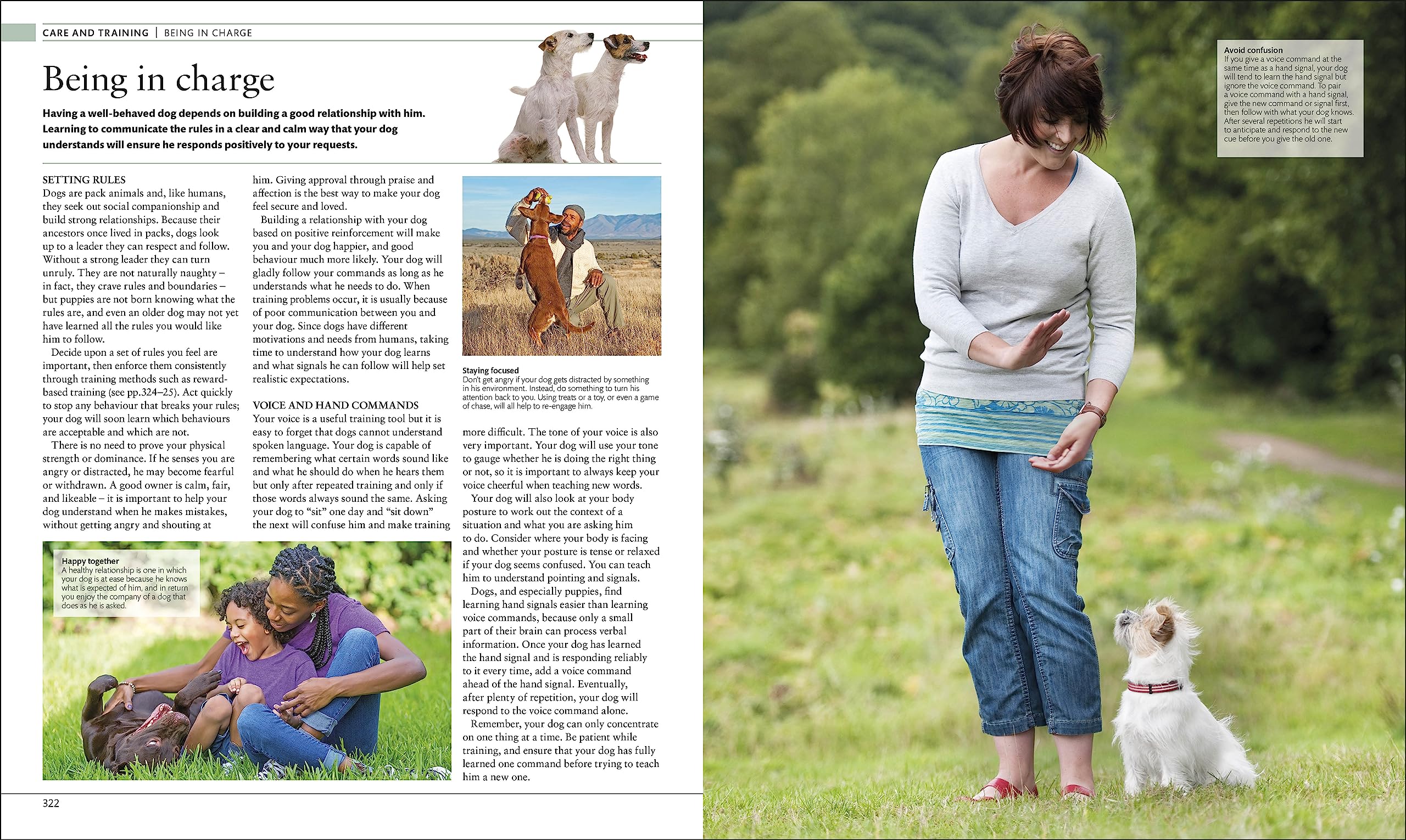 The Dog Encyclopedia: The Definitive Visual Guide