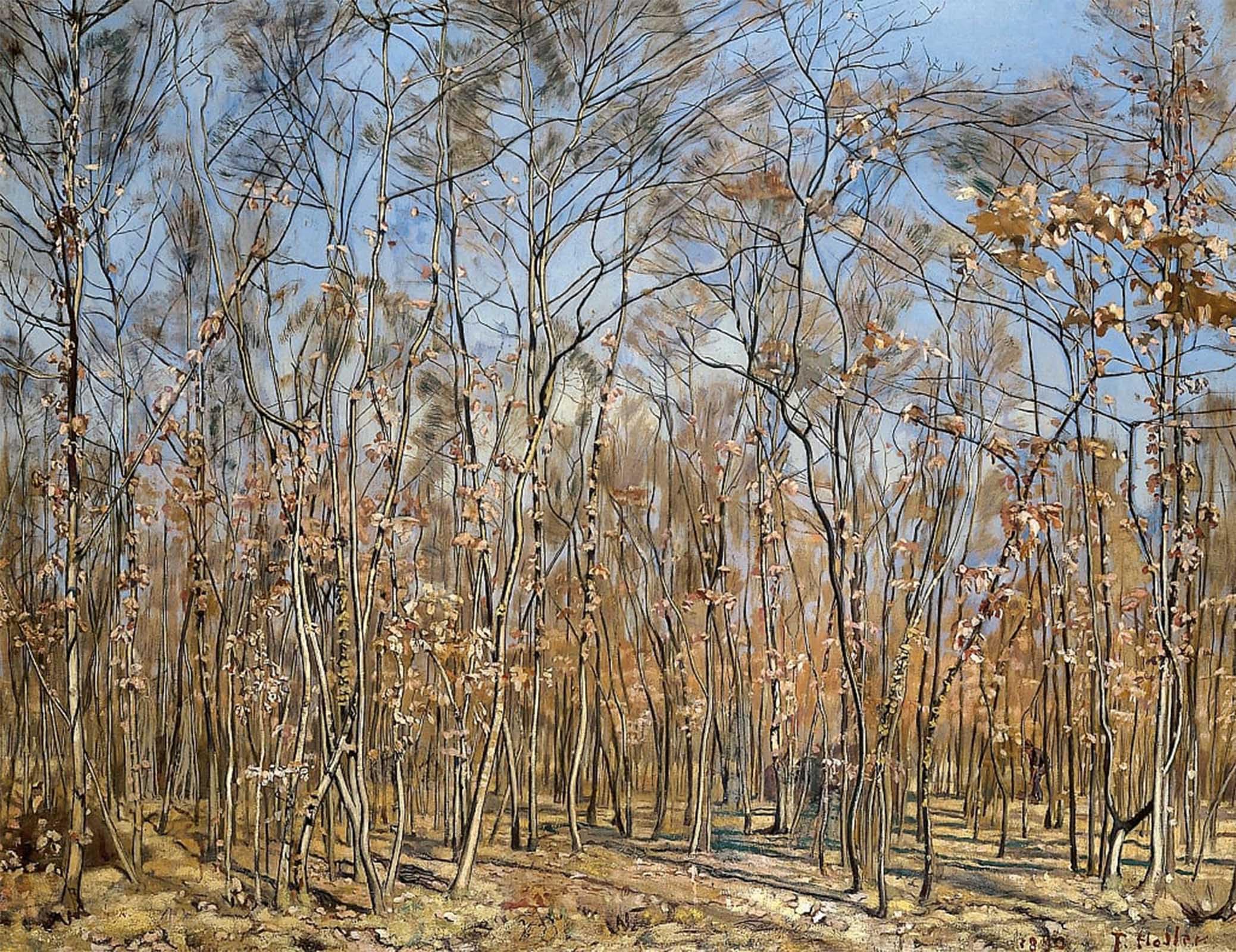 SERENDIPITP Abstract Painting Mural Print Picture Wall Decor Painting Beech Forest by Ferdinand Hodler Vintage Wall Artwork for Home Decor 60x90cm