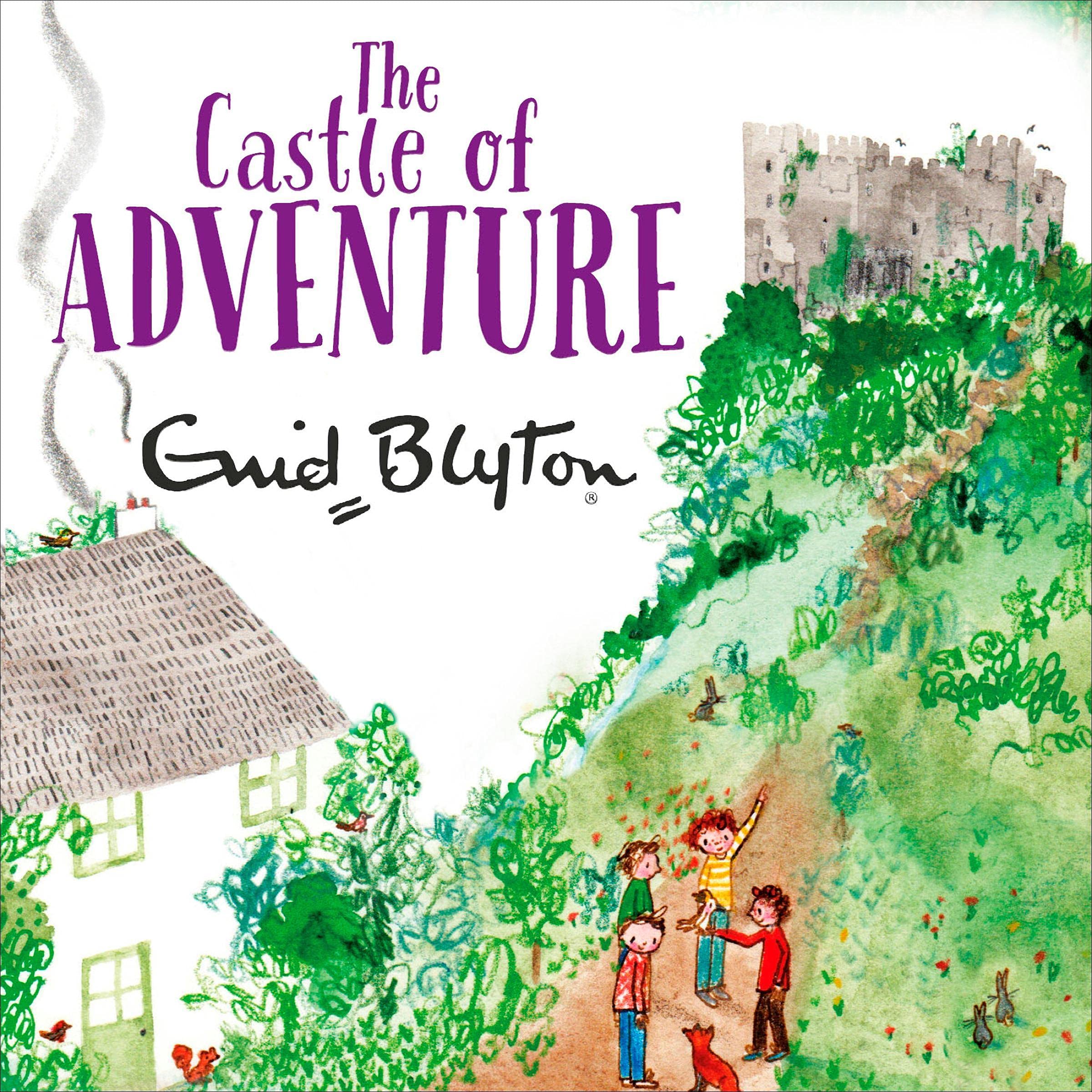 Cover art for The Castle of Adventure