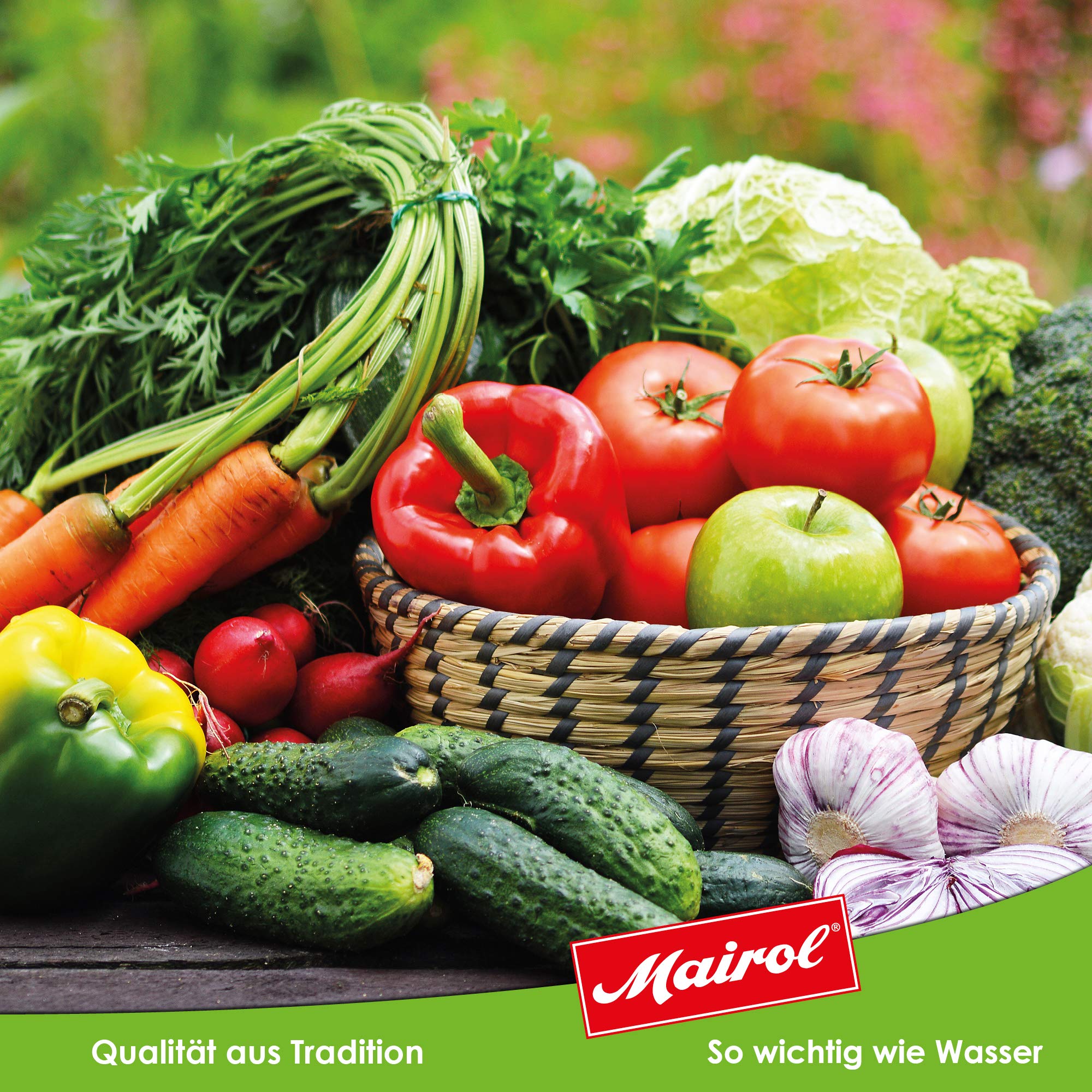 Mairol Engrais Coup de Fouet pour Légumes 1000 ml