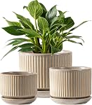 Ceramic Plant Pots Set of 3, 4.3+5.5+6.7 Inch Indoor Flower Pots with Drainage Hole & Saucer & Hole Mesh Pads, Striped Decorative Planter Set for Indoor Plants (Green)