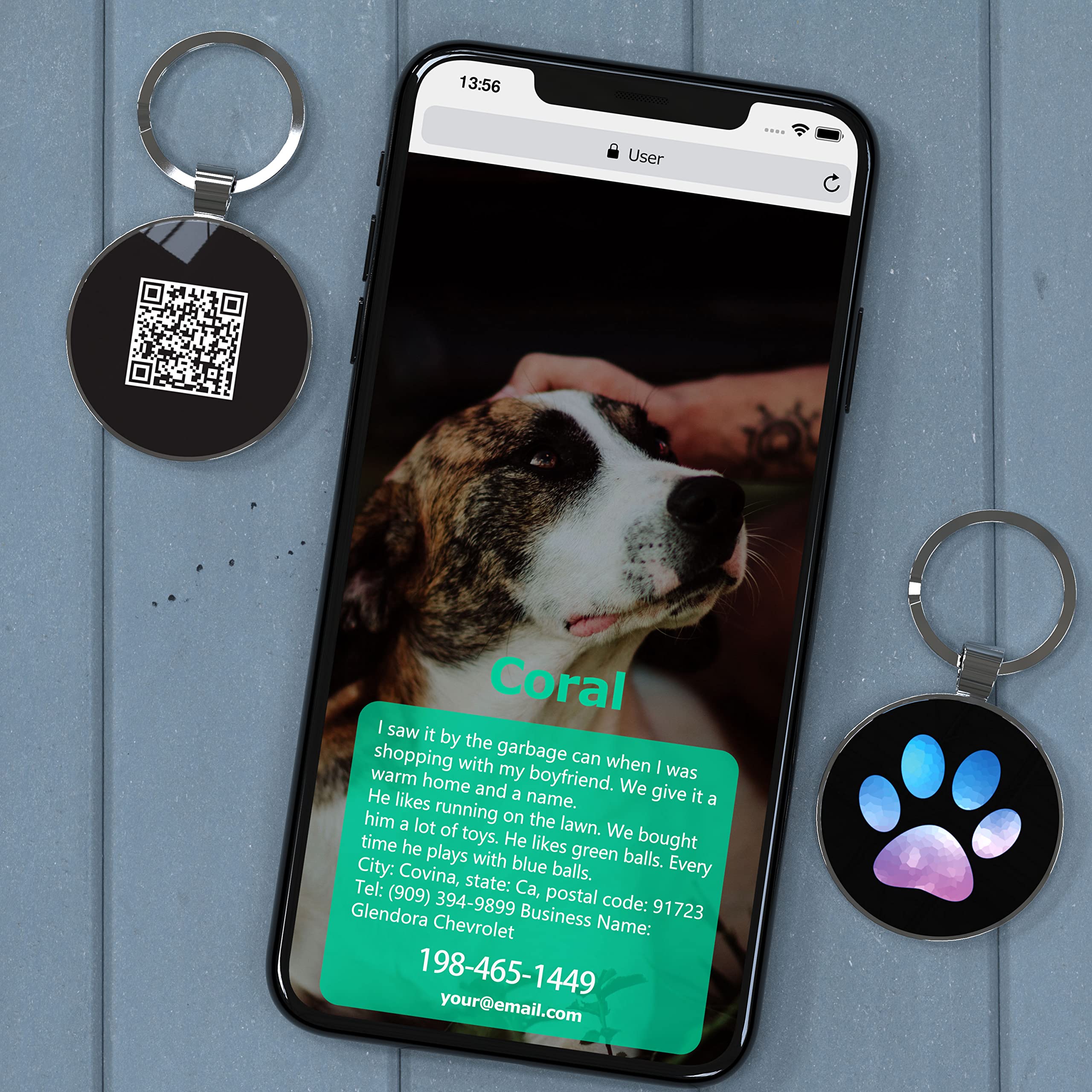 medaillon chien personnalisé，medaille pour chien， Médaille d'identification personnalisable pour animal de compagnie - Affichage d'informations unique - Modifiable