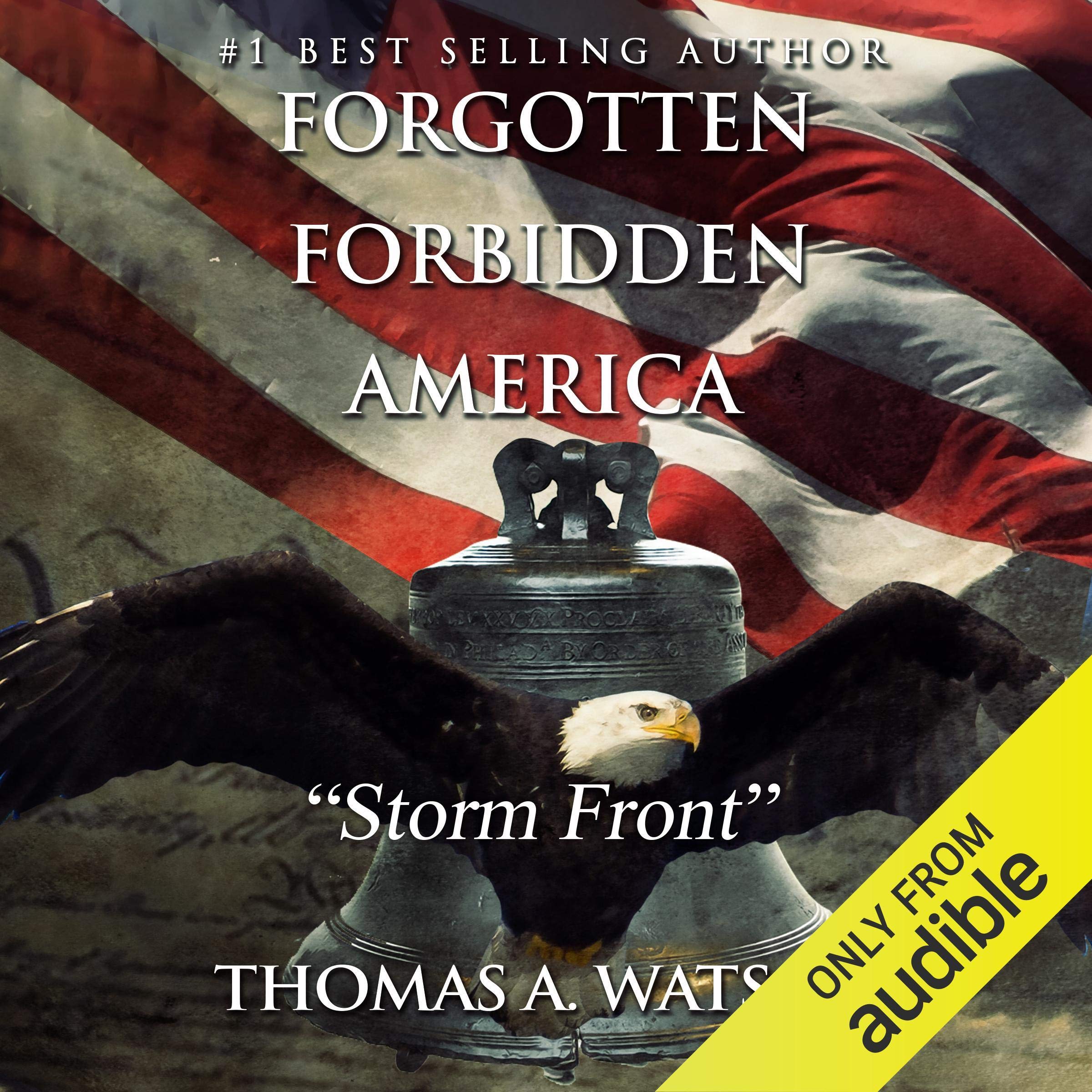 Cover art for Storm Front