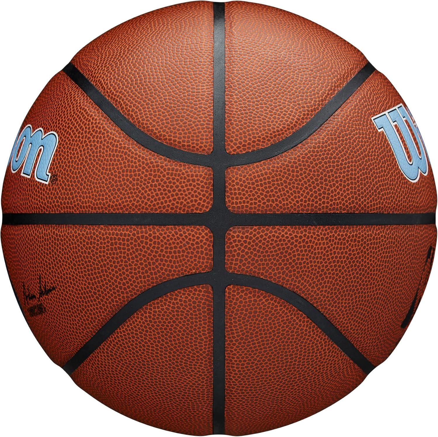 WILSON NBA Team Alliance Basketballs - Size 7-29.5"