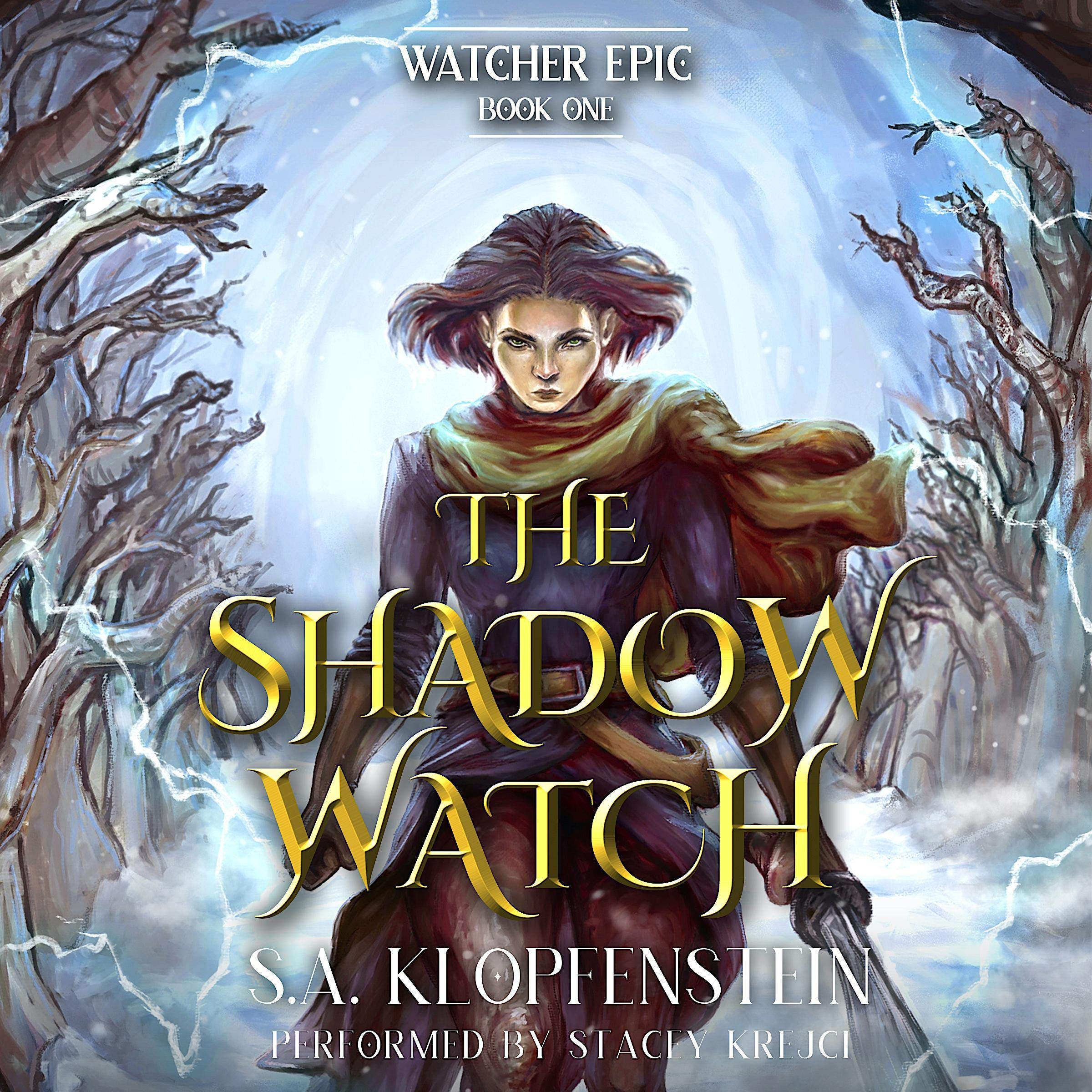 Cover art for The Shadow Watch