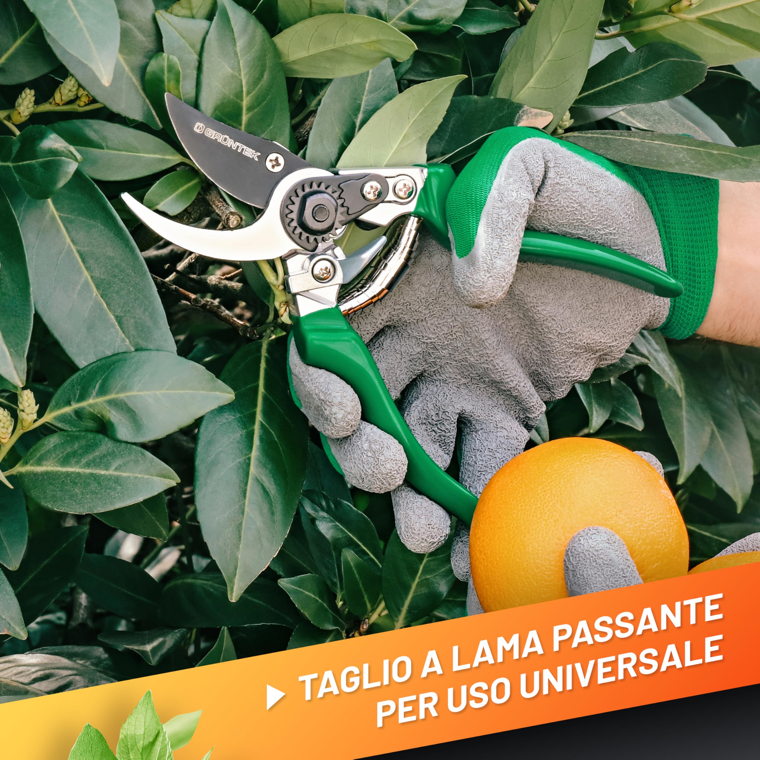 GRÜNTEK Forbici Cesoie Potatura Giardino 215 mm FALCO Professionale