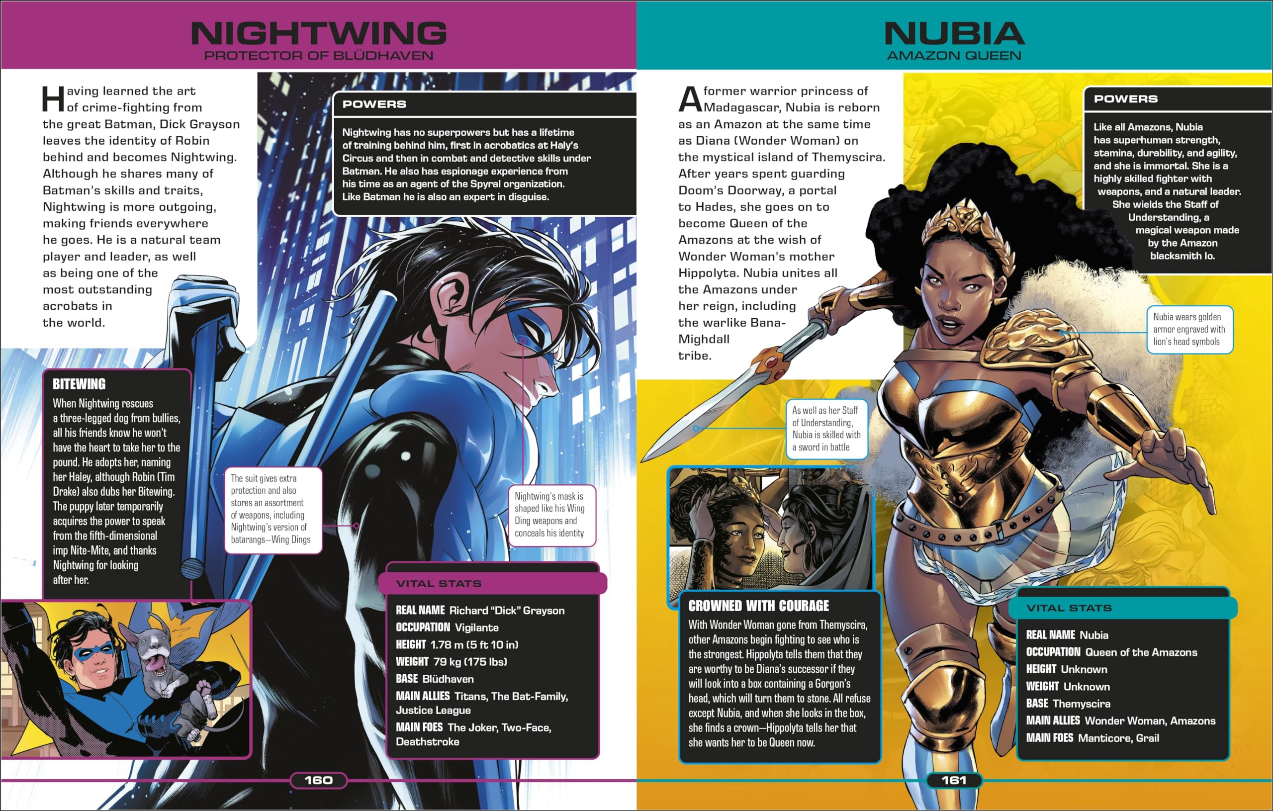 DC Ultimate Character Guide New Edition - Image 5