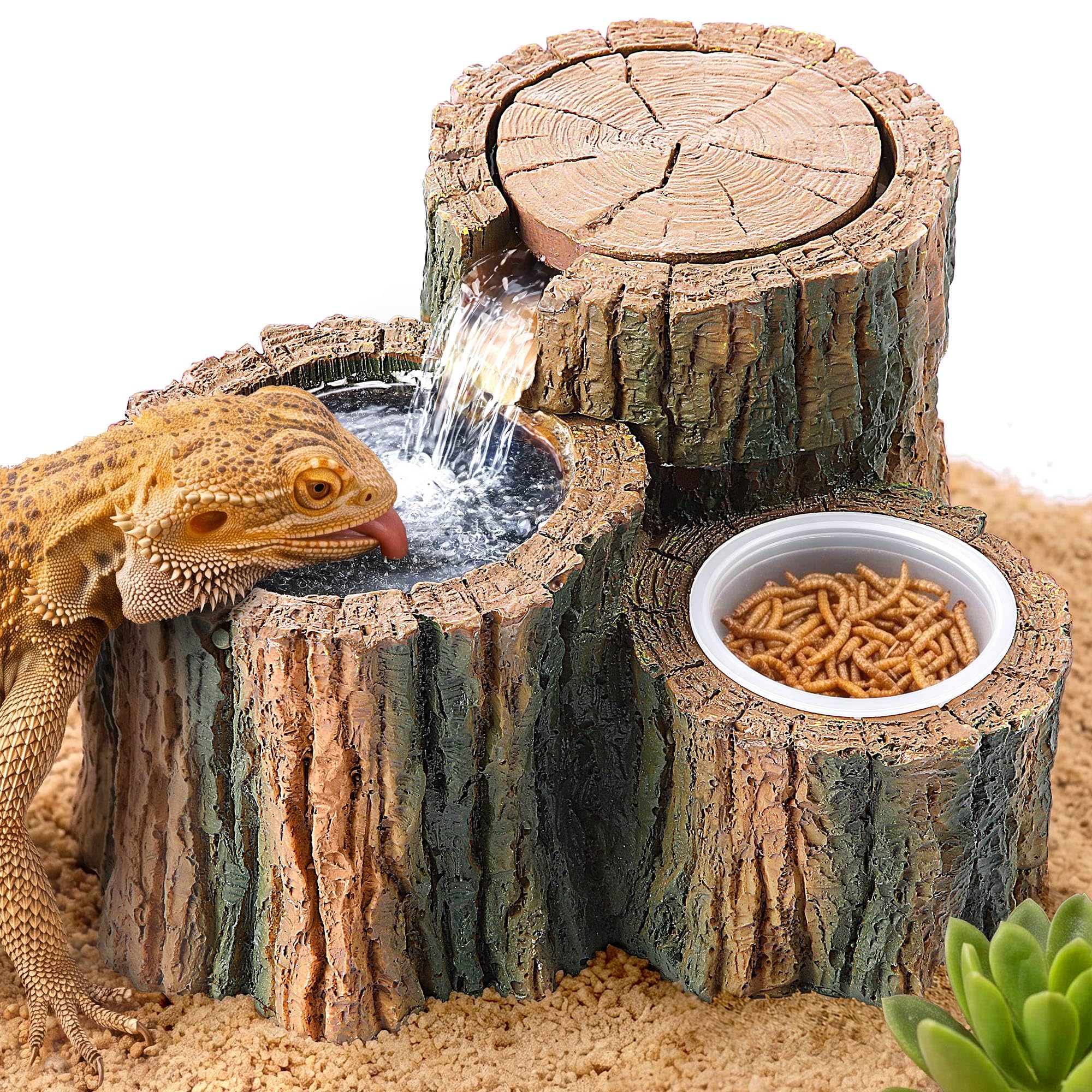 Fuente de agua 2 en 1 para reptiles con plato de comida, 550 ml