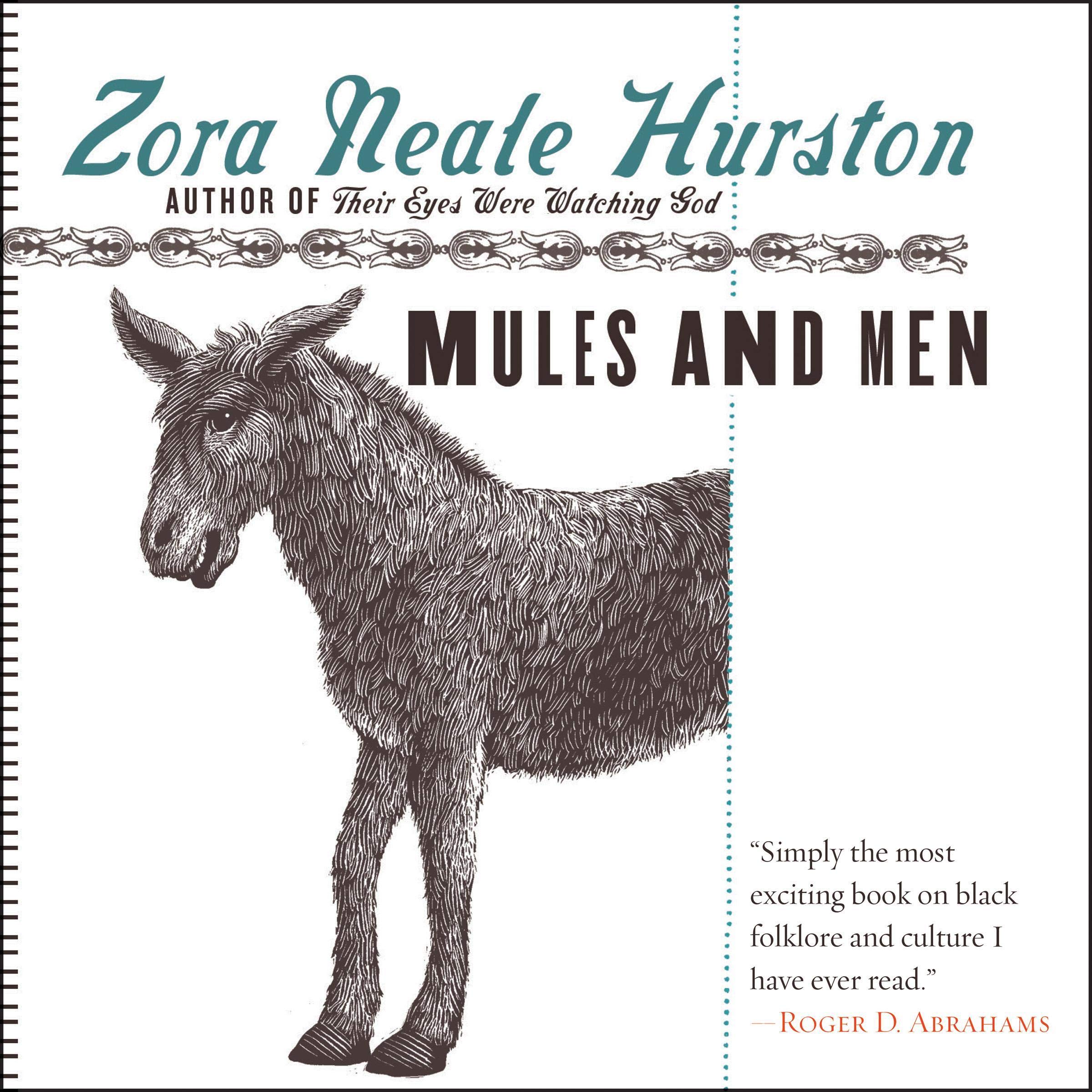 Cover art for Mules and Men