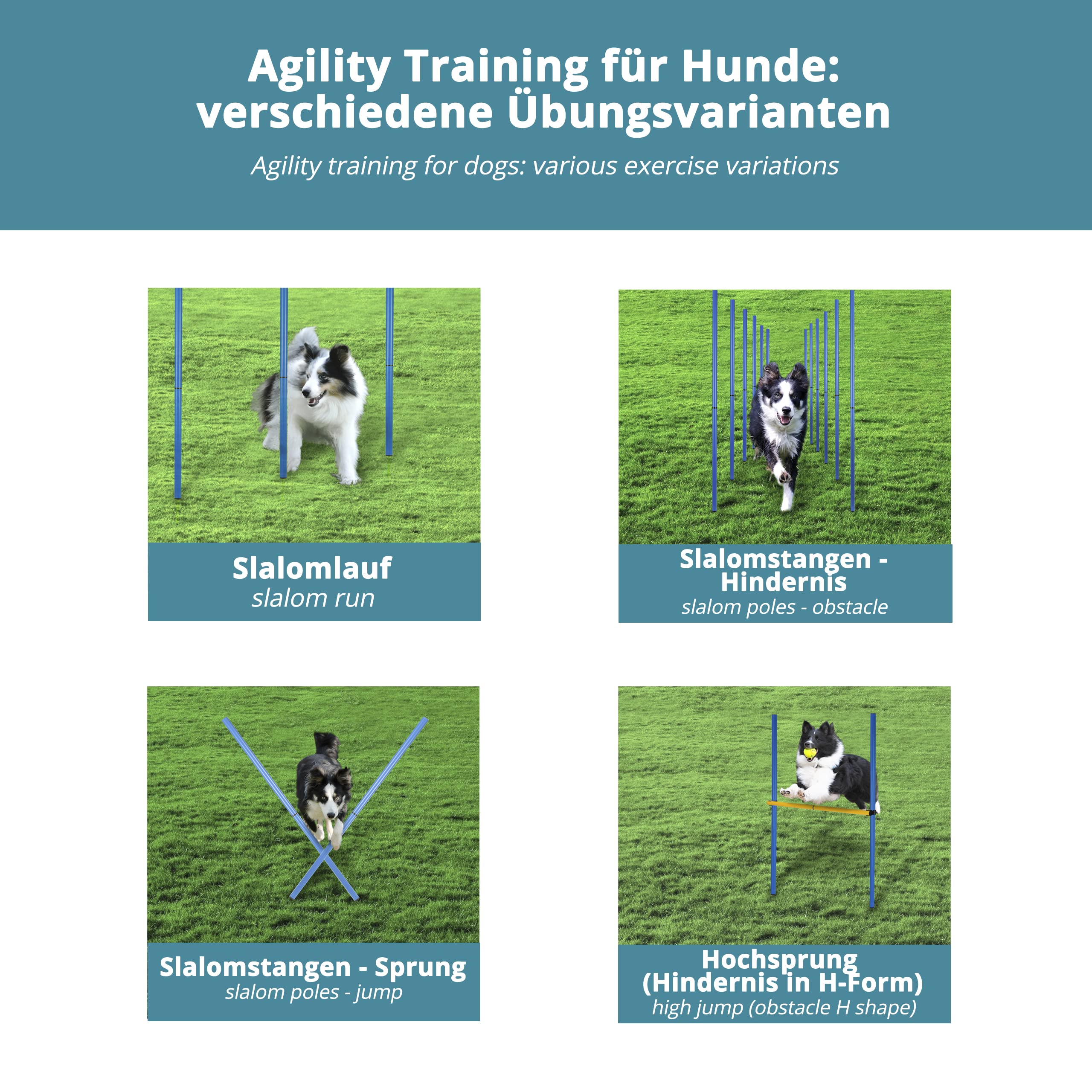Barras de eslalom con obstáculo en color azul – Juego de agilidad para perros – Accesorios de entrenamiento para perros – Juego de entrenamiento de fútbol