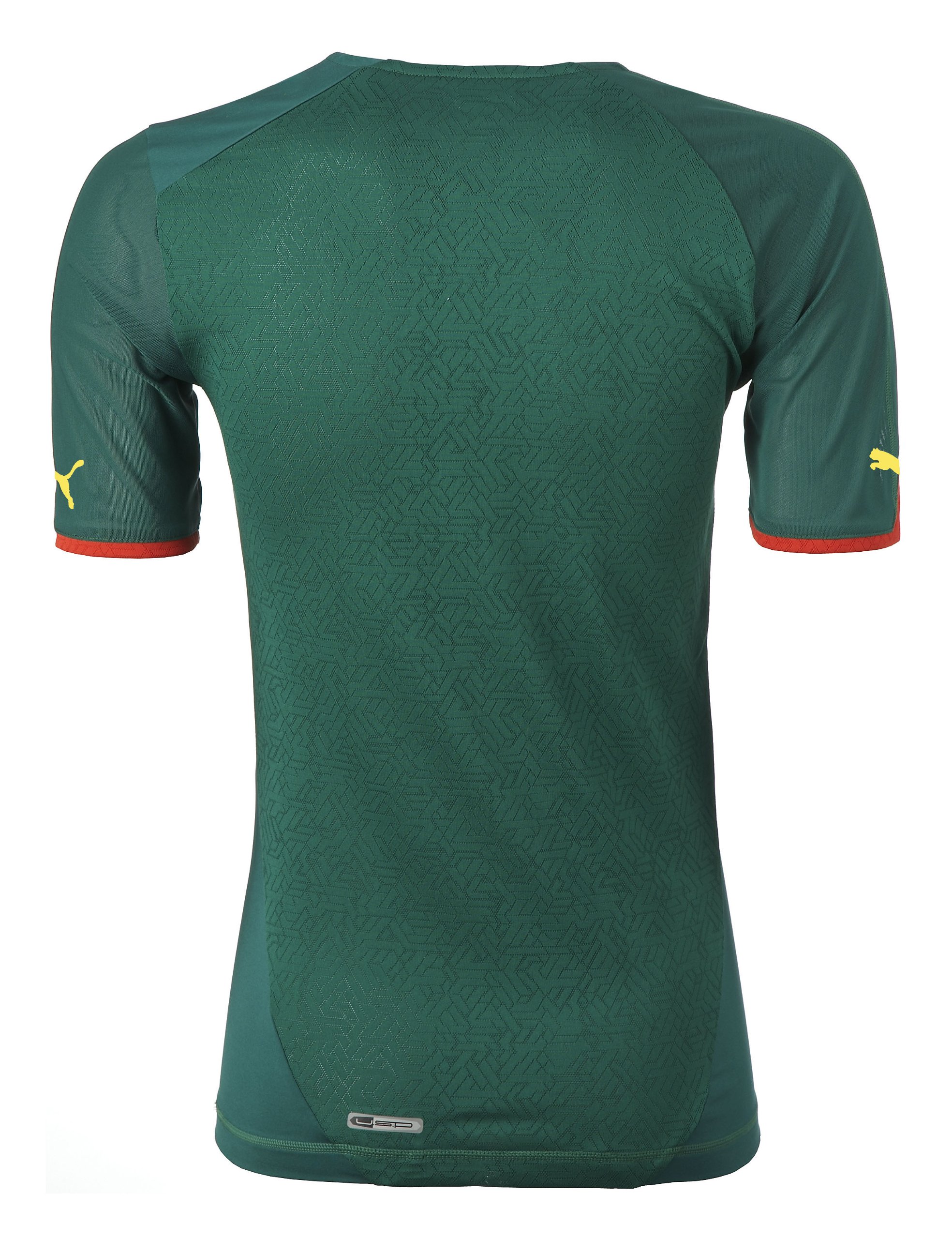 Puma Maillot Domicile Cameroun Replica - Maillot football - homme - Vert