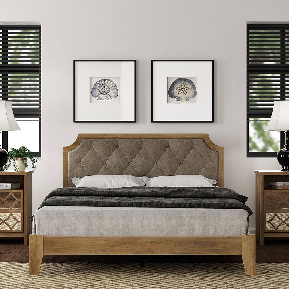 Fellows!(Q)「Q.E.D.」 71dw1l8xUpL._AC_UF894,