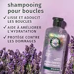 Herbal Essences Jojoba Oil & Lavender Curls Shampoo, 400 mL