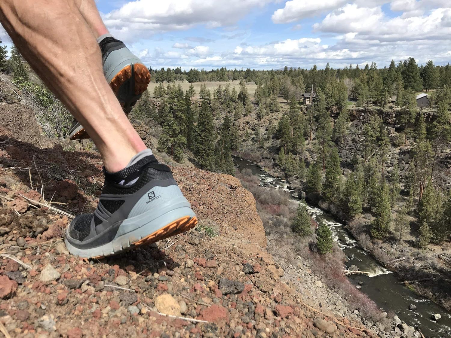 Swiftwick- MAXUS (3 Pairs) No Show Tab Running & Golf Socks, Maximum Cushion - Image 3