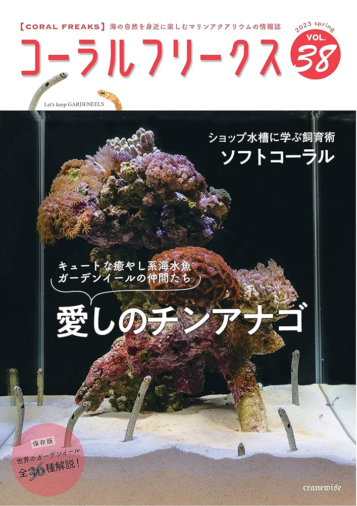 コーラルフリークス Amazon.com: coral freaks (Japanese Edition) eBook