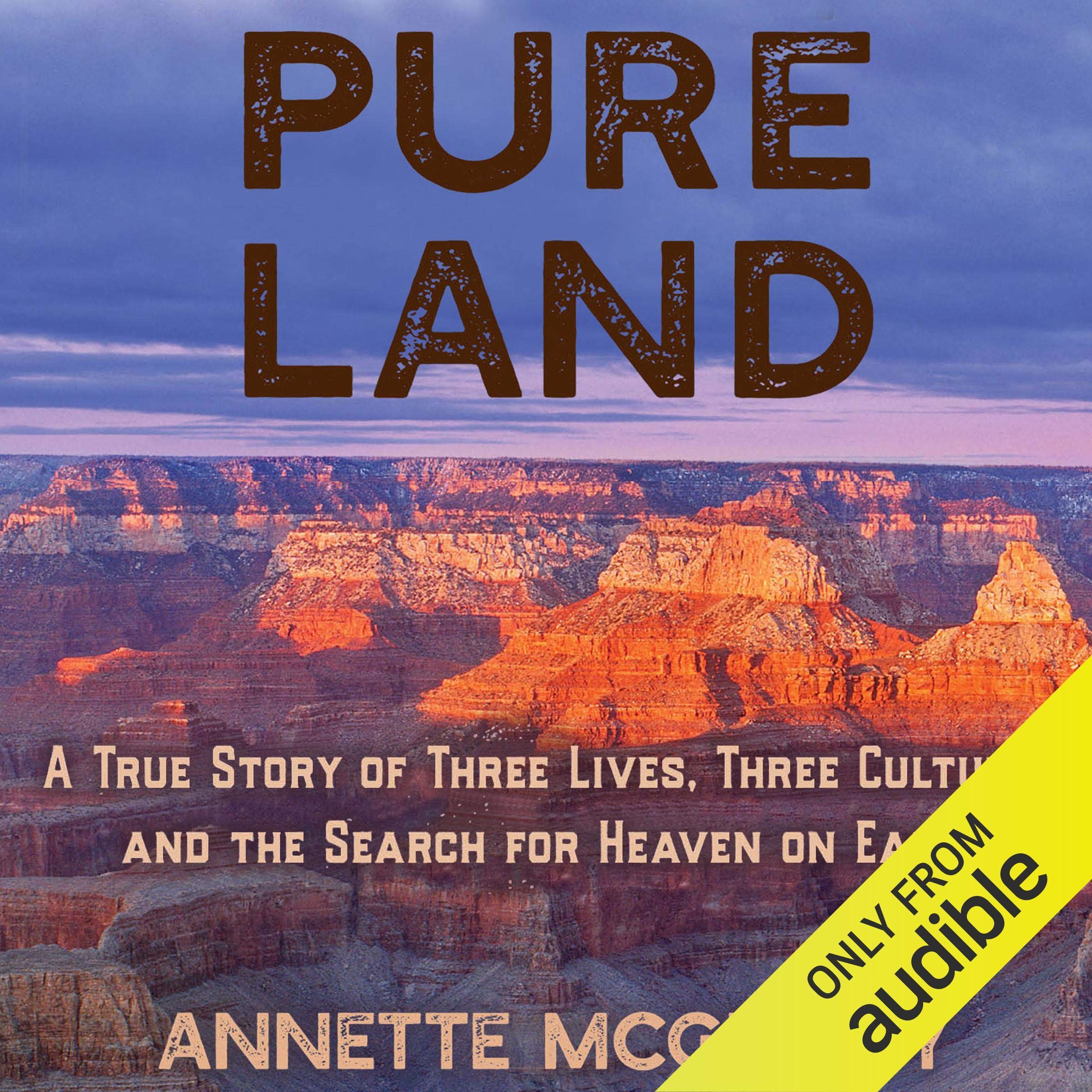 Cover art for Pure Land
