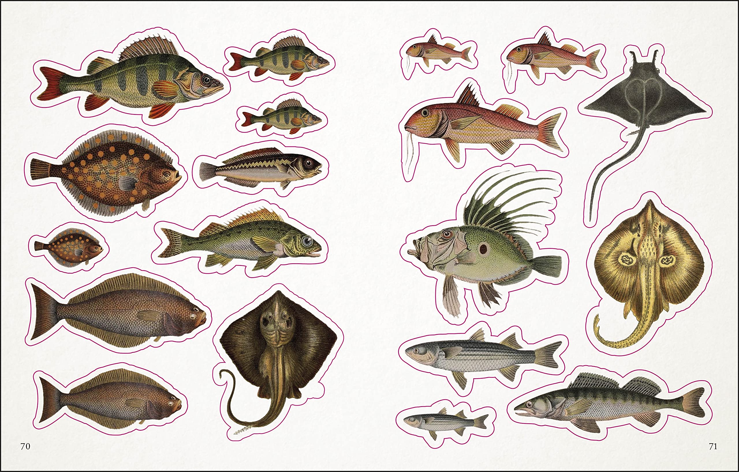 The Seashore Sticker Anthology: With More Than 1,000 Vintage Stickers