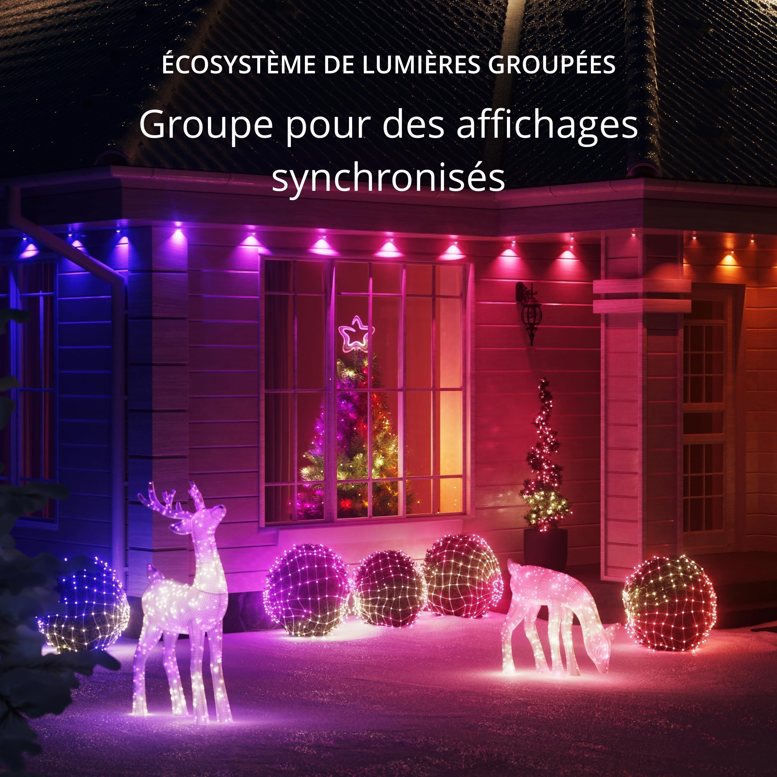 Twinkly Net Lights, Grille LED Flexible avec 260 LED RGB Mappables, Bande LED Extérieur et Intérieur, Lumières Smart, Compatible Alexa, Google Home, IP44, Contrôle App, Fil Transparent, 1.2m x 1.9m