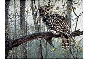 1000 Piece Jigsaw Puzzle, Spirit of the Forest: Owl in Tree for Adults and Kids