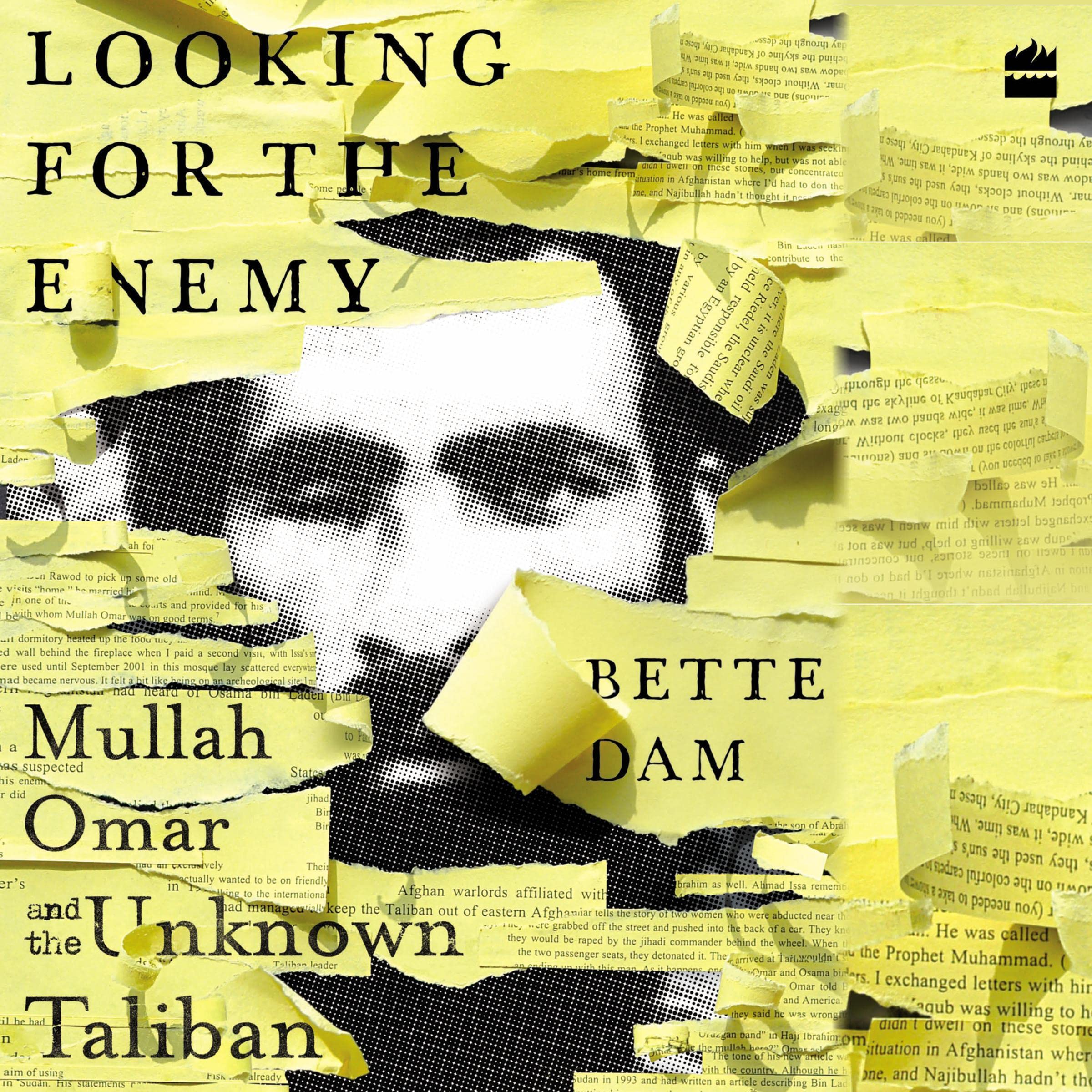 Cover art for Looking for the Enemy