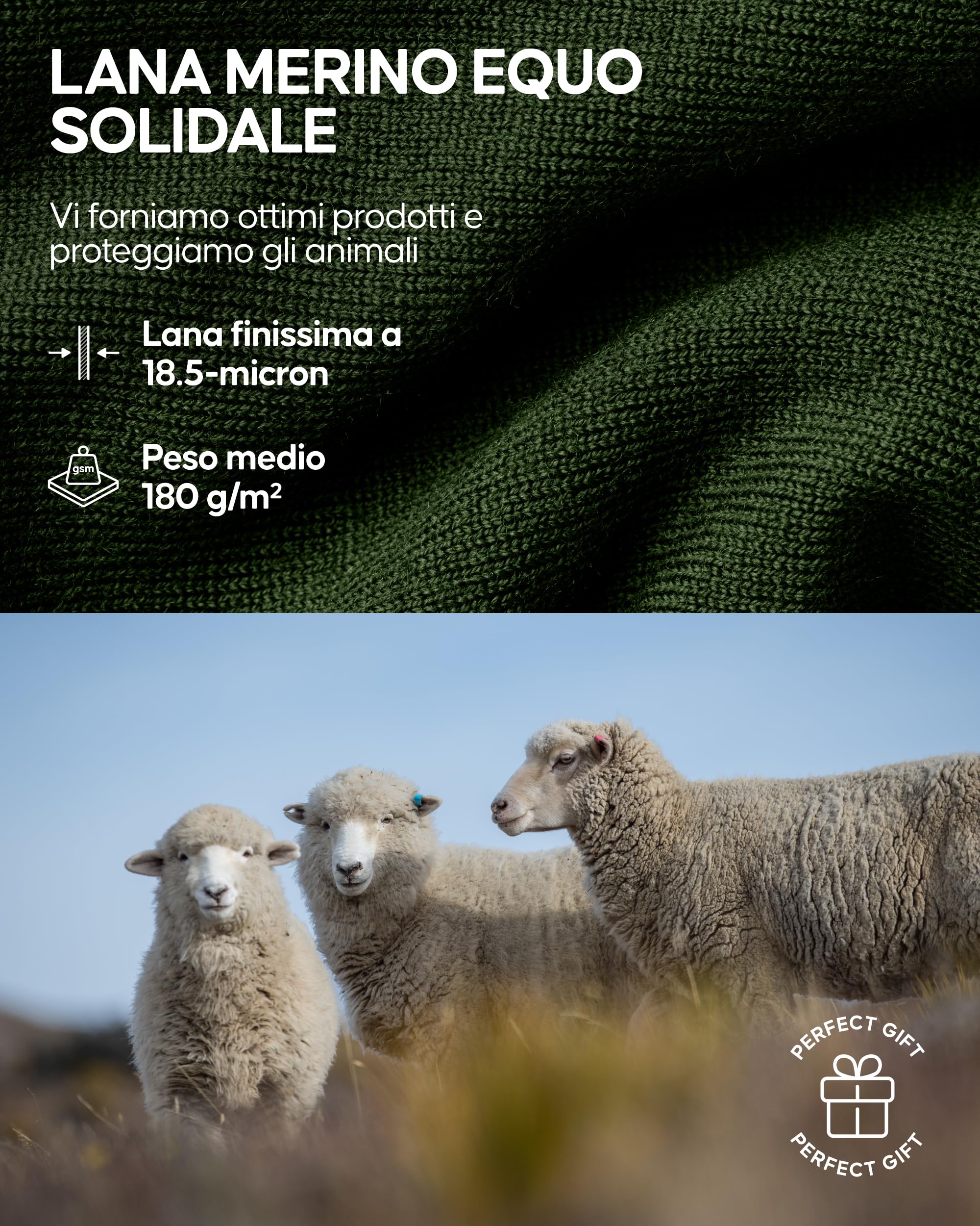 DANISH ENDURANCE Maglia Termica Donna in Lana Merino, Manica Lunga, per Sci, Trekking, Escursionismo
