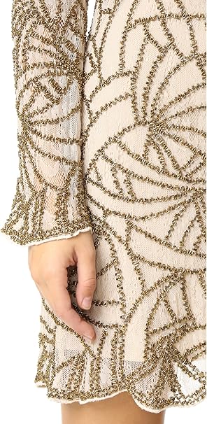 Haute Hippie Women's the Goldfinger Dress - Gold - 8 : Amazon.co.uk: Fashion