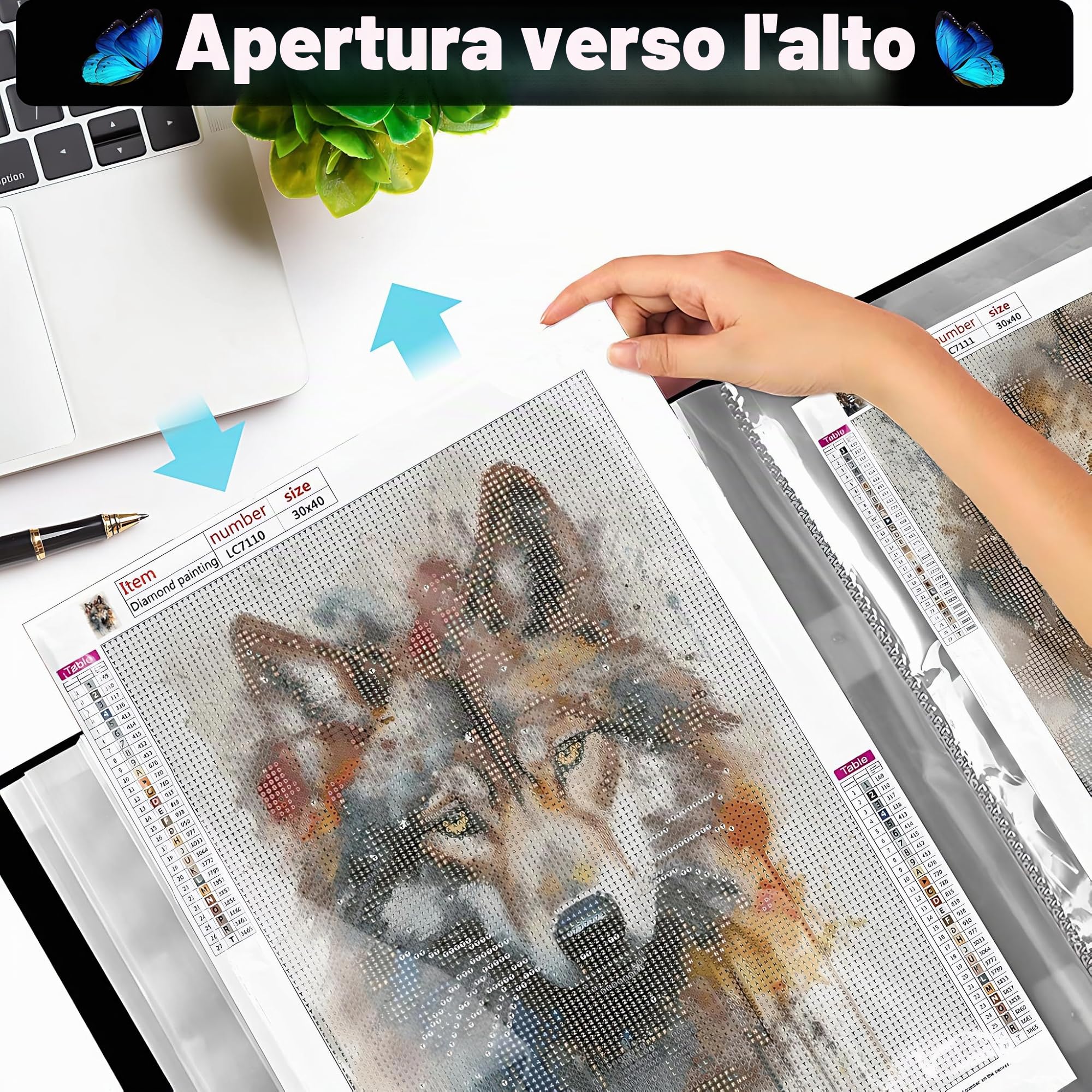 Diamond Painting Bilder Album A2, Raccoglitore per Dipinti a Diamante 5D, Diamond Painting Sammelmappe A2, Diamond Painting Storage Book (Copertina Colori, 30 Tasche 60 Pagine)