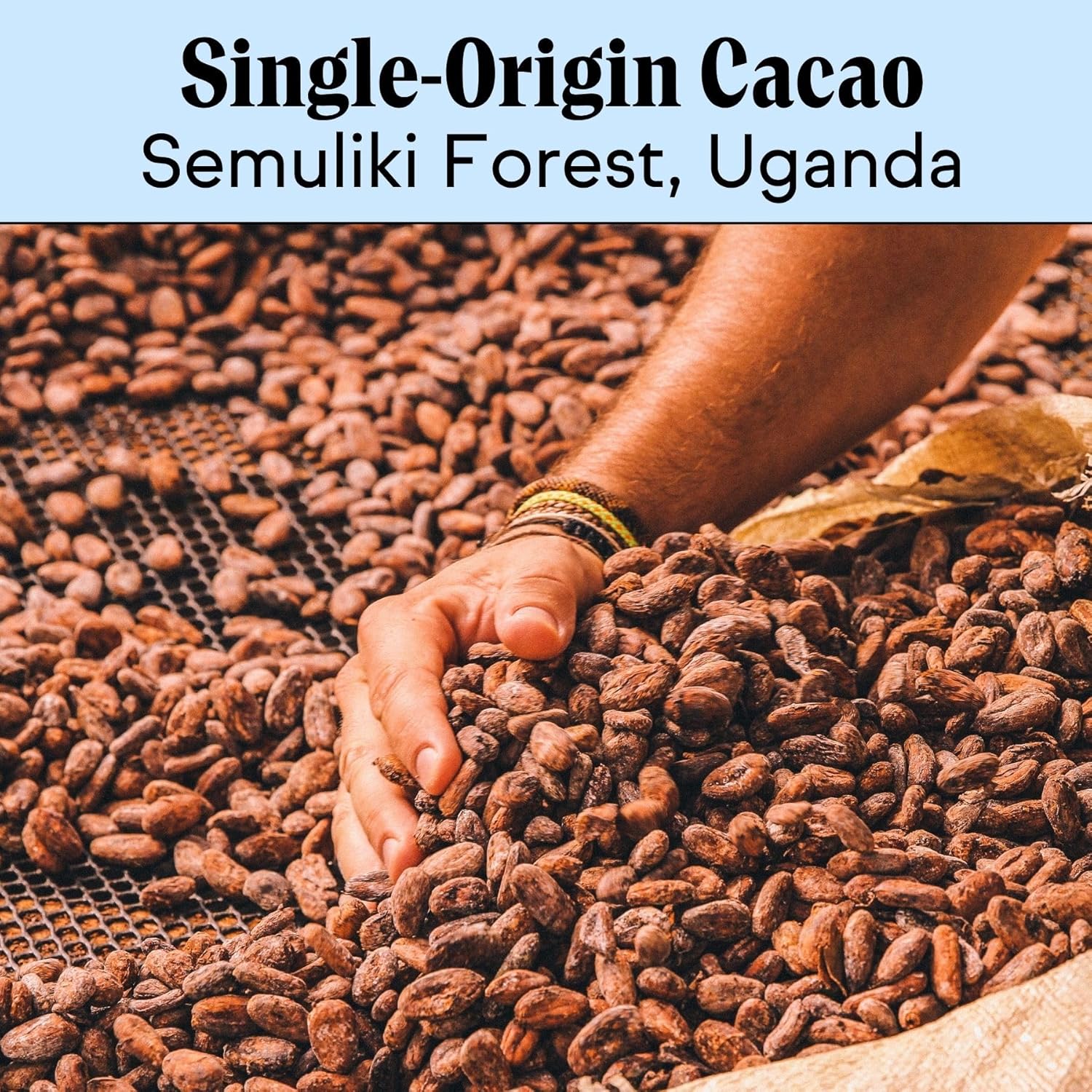 Raaka Coconut Milk Chocolate Box | 60% Cacao Vegan Milk Chocolate | Organic, Vegan, Gluten Free | Box of 100 Individually Wrapped Chocolates