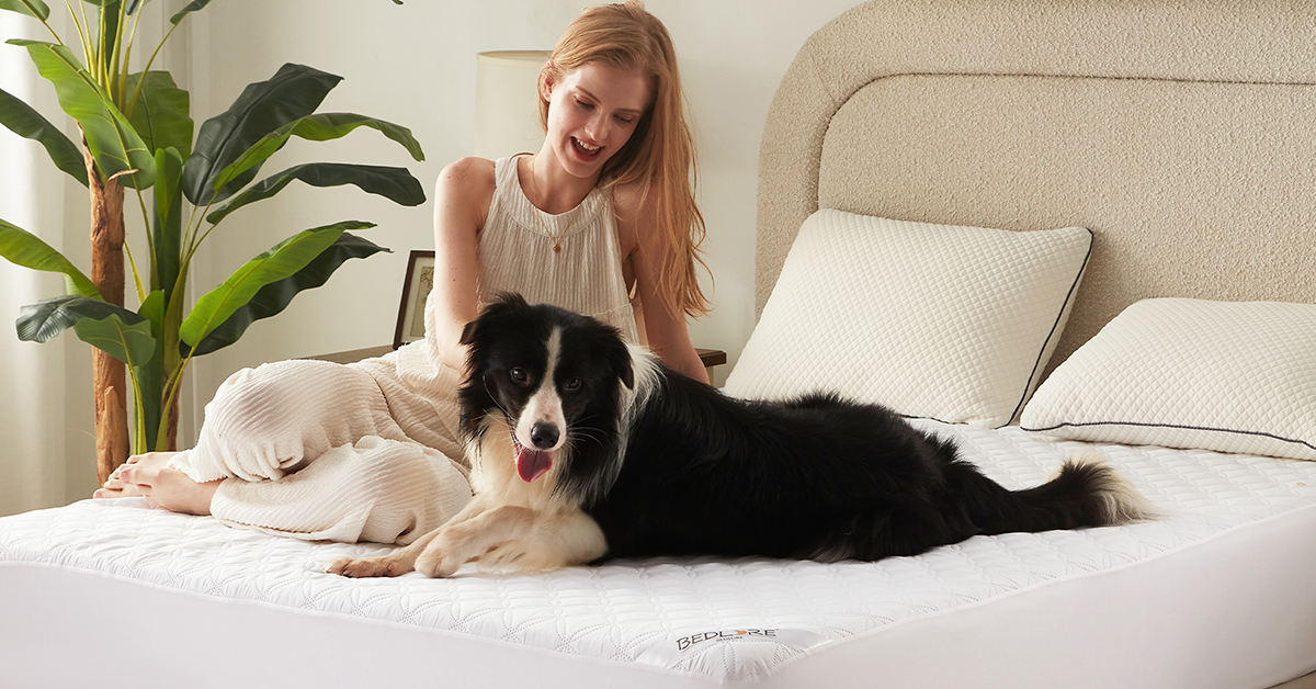 Amazon｜BEDLORE 防水·防ダニ ボックスシ一ツ クイーン 洗える