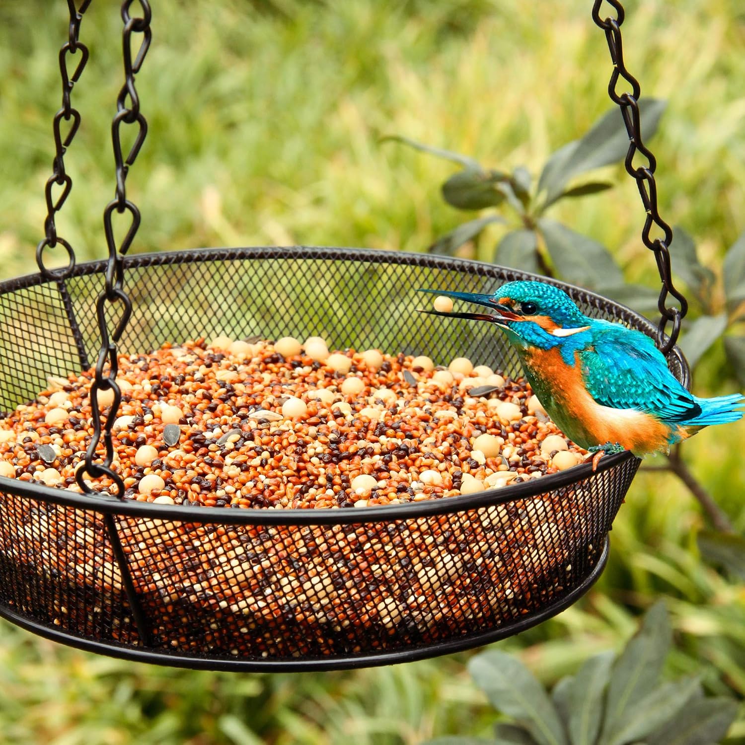 FORUP Hanging Bird Feeder Tray, Platform Bird Feeder Hanging Tray, Metal Mesh Seed Tray for Bird Feeders, Outdoor Yard Garden Outside Backyard Decoration