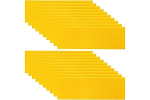 Best Wax Foundation for Healthy and Productive Beehives