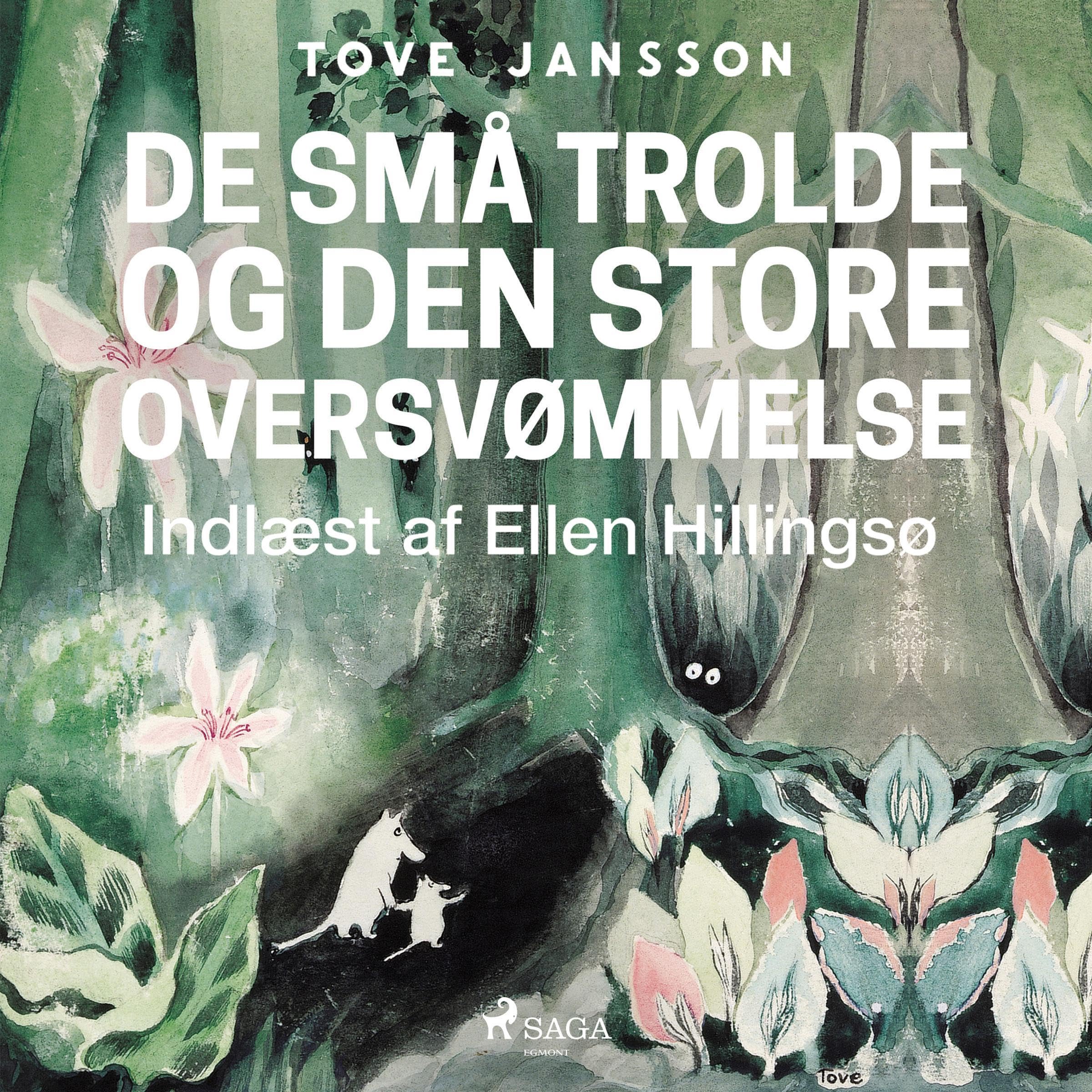 Cover art for De små trolde og den store oversvømmelse