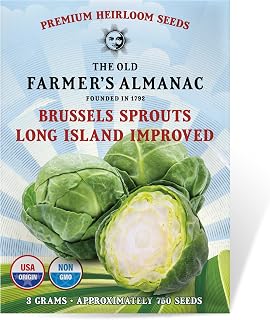 Old Farmer's Almanac Heirloom Brussels Sprouts Seeds Long Island Improved - 750 Non-GMO Open Pollinated for Fall Harvest