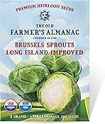 The Old Farmer's Almanac Heirloom Brussels Sprouts Seeds (Long Island Improved) - Approx 700 Seeds - Non-GMO, Open Pollinated, USA Origin