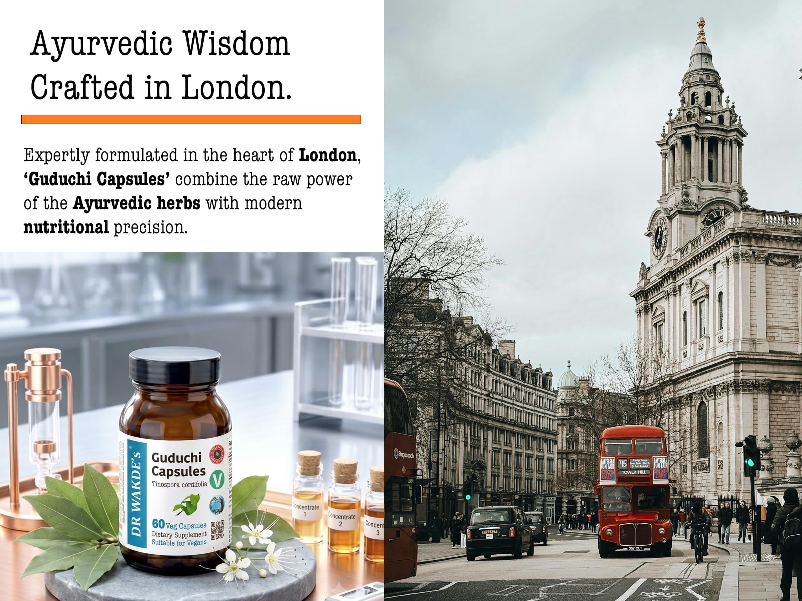 DR WAKDE'S Guduchi Kapseln – Giloy (Tinospora cordifolia) 500 mg | 60 Vegane Kapseln | Immunsystem & Wohlbefinden | 100% Reines Ayurvedisches Kräuterpulver | Ohne Zusatzstoffe | Vegan & Vegetarisch