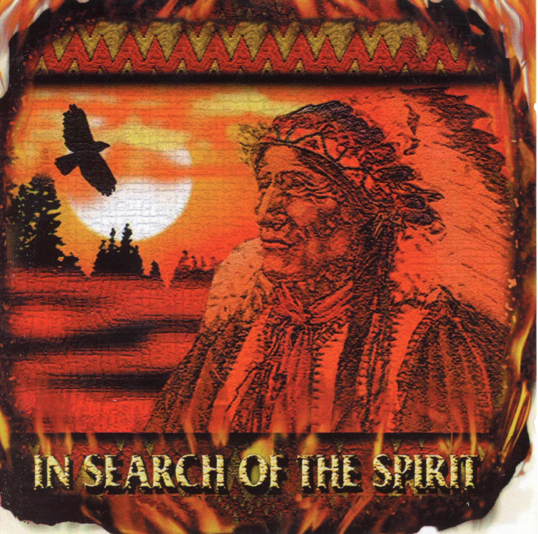In Search of Spirit [Audio CD]