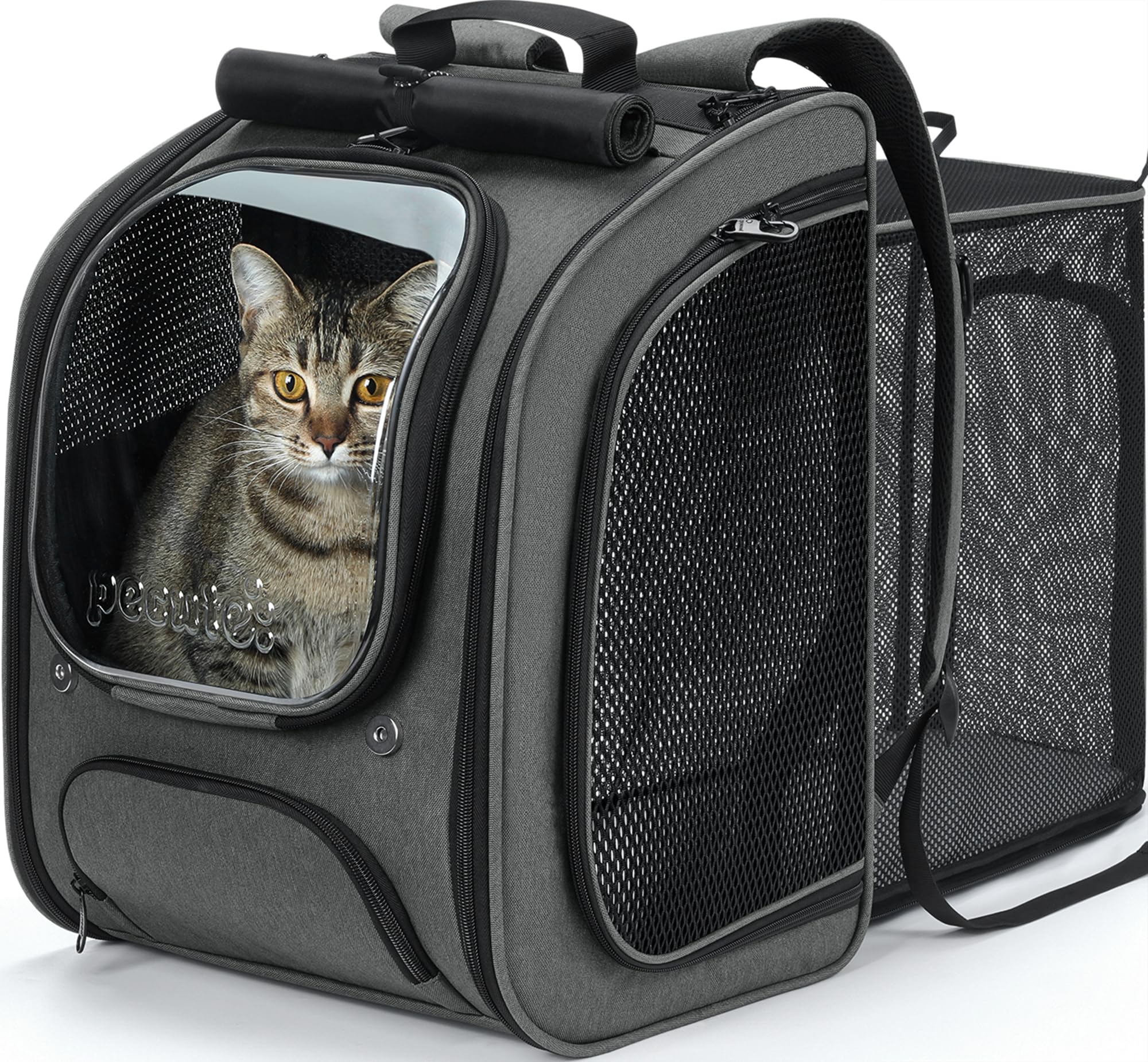 Pecute Scalabile Zaino Trasportino per Gatti a Bolla - Ampio spazio stabile, parasole traspirante, ideale per viaggiare, fare visitare cliniche veterinarie con il tuo animale domestico, Grigio