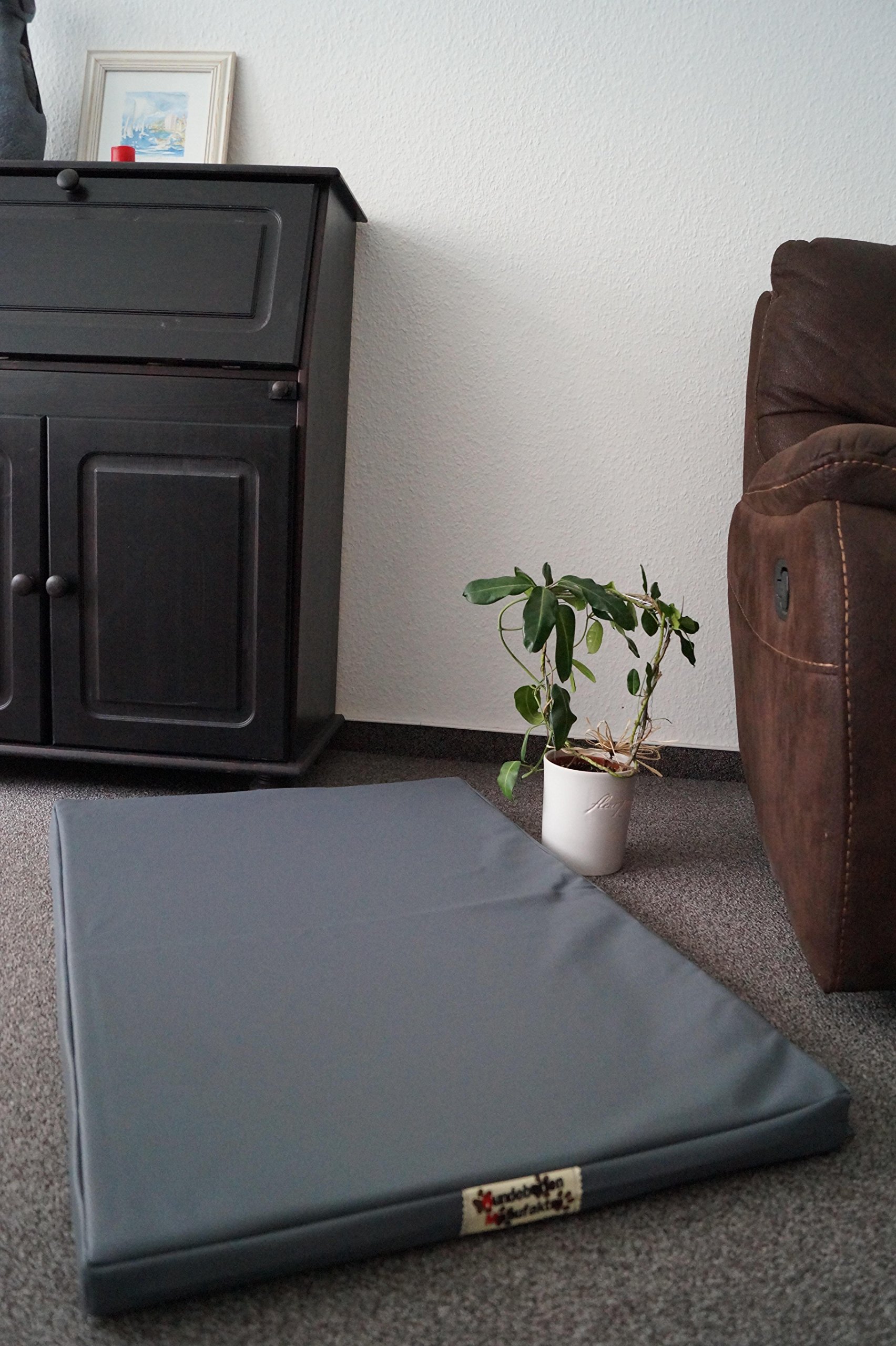 Hundebettenmanufaktur Orthopädische Hundematratze mit antiallergischer Kokosmatte Hundebett Kunstleder Größe und Farbe wählbar (100 cm X 60 cm, grau)