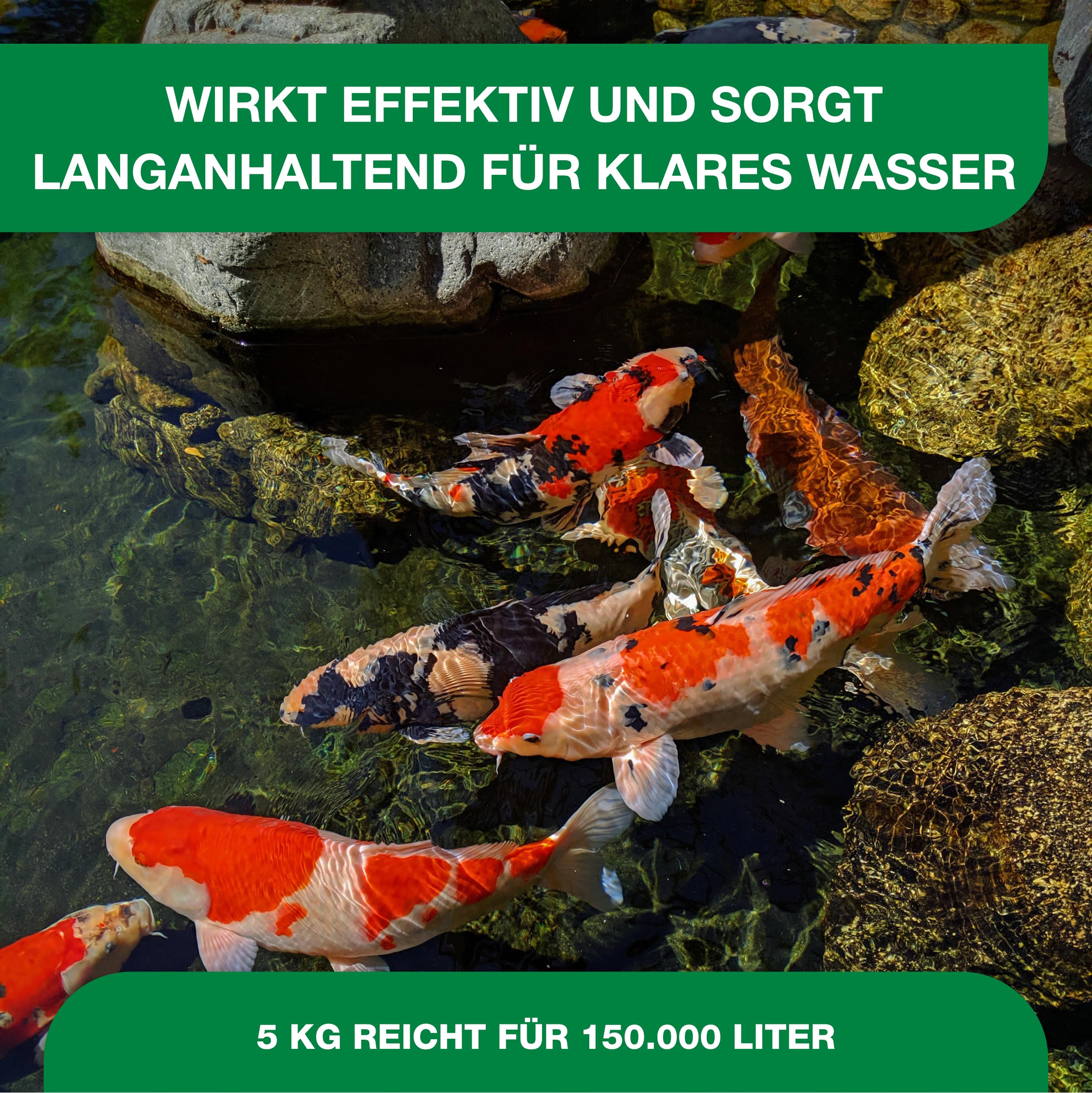 Teichpoint Pond Repair 5kg | Entfernt Fadenalgen auf biologische Weise im Garten- und Koiteich | Algenfreies Teichwasser | Reichweite 150.000 Liter