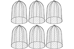 Complete Set of 6 Black Chicken Wire Plant Cloches