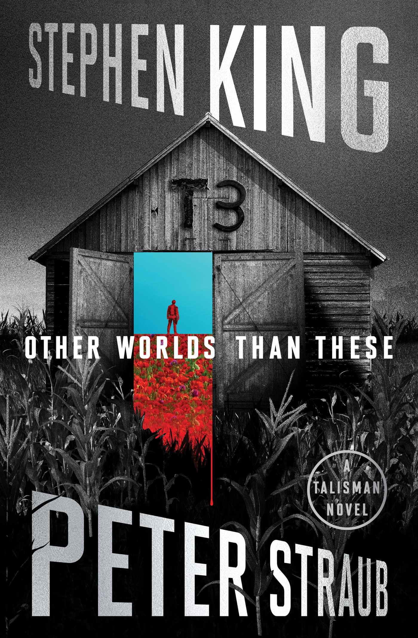 Other Worlds Than These: A Talisman Novel (Volume 3)