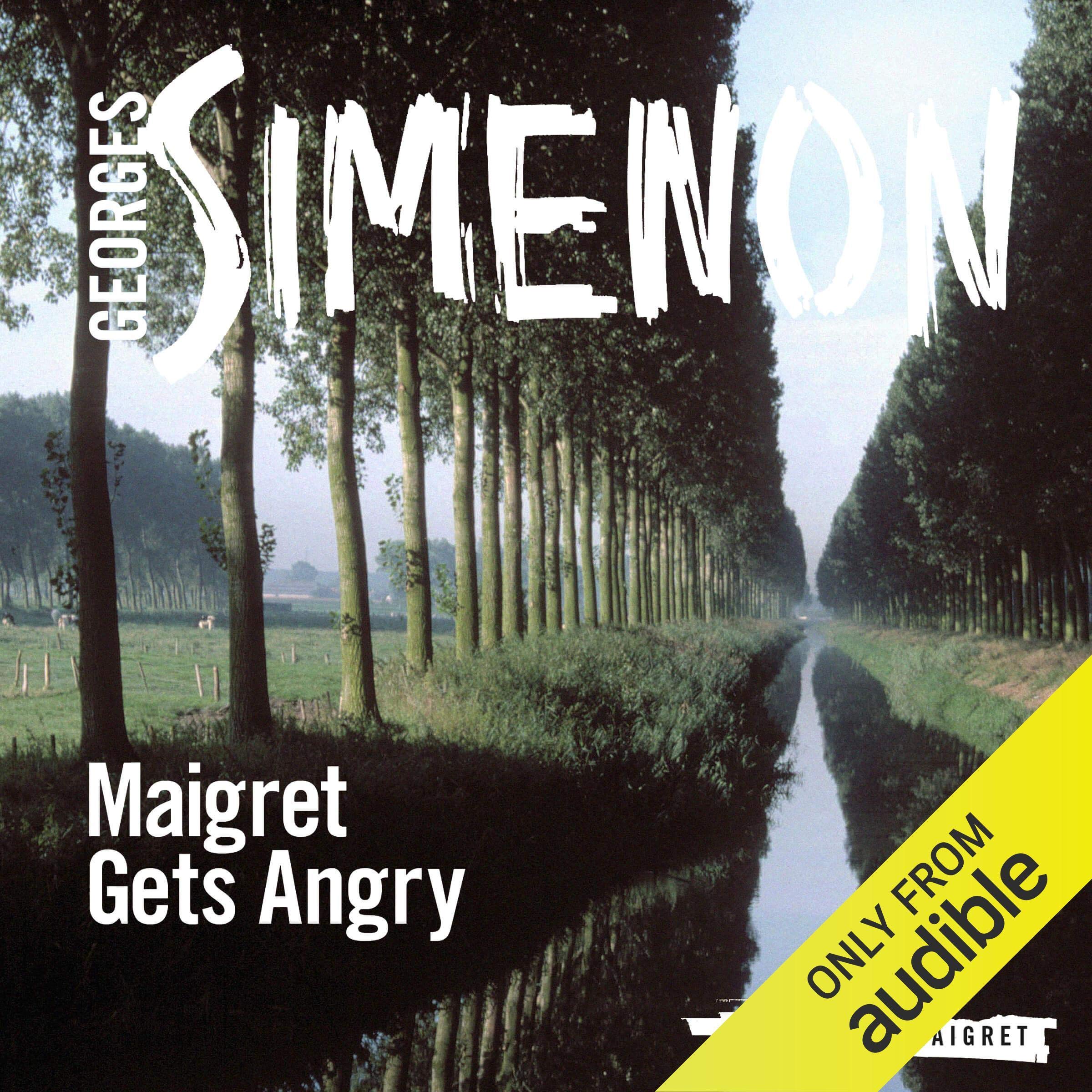 Cover art for Maigret Gets Angry