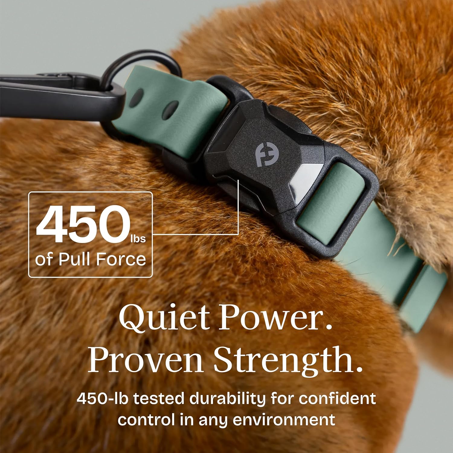 Fei & Eve VERO Series – MagEase Dog Collar, Patented Magnetic Buckles, 450LB Escape-Proof, PVC Waterproof, Fur-Safe, Odor Resistant & Wipes Clean, Adjustable Fit, Glacier Green Large