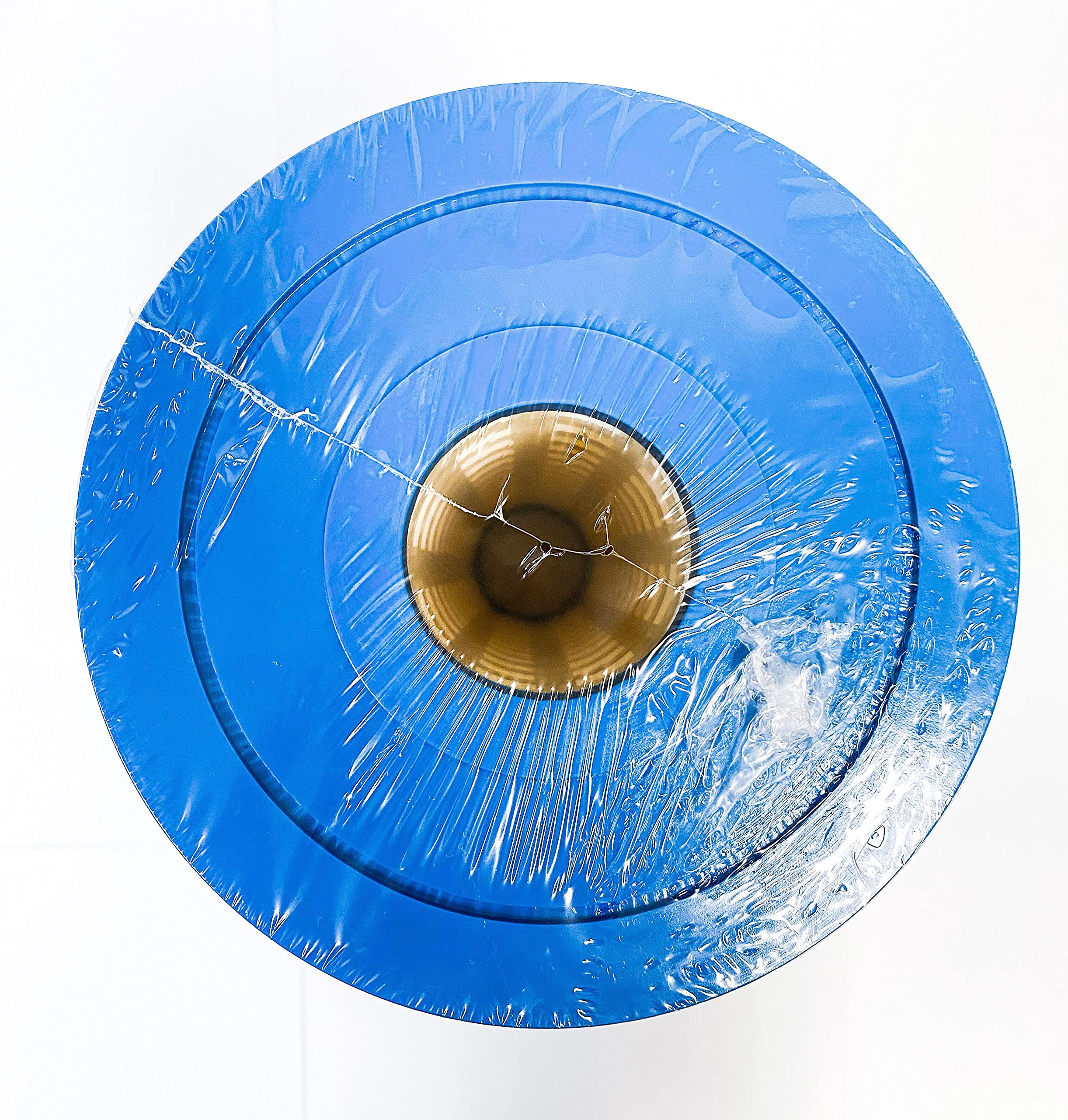 Spa & Sauna Parts Compatible Replacement for Watkins 78161 Limelight Pulse Replacement Filter (Pack of 1)